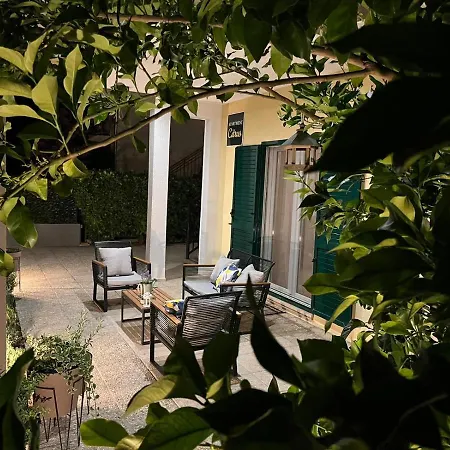 Citrus * Kaštela
